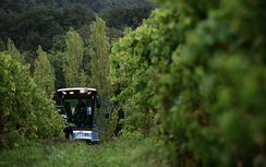 Khép lại kỷ nguyên vàng của nhà đầu tư Trung Quốc tại thủ phủ rượu vang Bordeaux