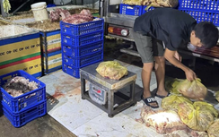 Chặn bốn tấn heo bẩn để làm xúc xích, giò chả sắp tuồn ra thị trường