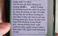 Cảnh báo chiêu mạo danh cơ quan điều tra, Viện KSND "gạ" chạy án