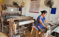 Làng nghề dệt đũi 400 năm tuổi ở quê lúa