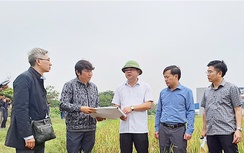 Nam Định bàn giao cọc giải phóng mặt bằng, mốc lộ giới cho dự án cao tốc CT.08