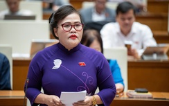 ĐBQH: Ban hành văn bản dưới Luật dễ gây lẩn quẩn trong giải quyết theo thẩm quyền