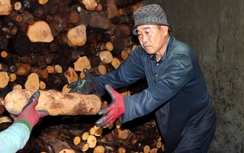 Nhọc nhằn nghề hầm than bên dòng Cái Côn