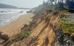 Quảng Ngãi: Sạt lở bờ biển uy hiếp đường giao thông, nhà máy lọc dầu