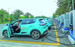 Chuyển đổi xanh và tương lai ngành vận tải