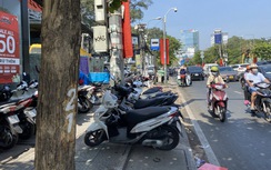 Hy hữu: Đốn nhầm cây sọ khỉ khi thi công ga metro số 2