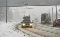 Một quốc gia EU bắt đầu tịch thu ô tô mang biển số Nga để chuyển cho Ukraine