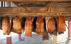 Nơi cá mập thối được coi là đặc sản