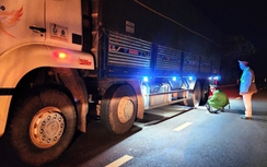 Đắk Nông xử phạt hơn 48 triệu đồng xe chở đá quá tải hơn 230%