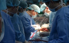 Đề xuất mở rộng thêm nguồn tạng hiến từ người chết tim