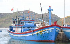 Tàu hàng tông gãy mũi tàu cá giữa biển rồi rời khỏi hiện trường