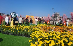 Cận cảnh đường hoa hình bản đồ Việt Nam ở Kiên Giang