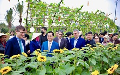 Trải nghiệm Tết tại Ngày tìm hiểu Việt Nam 2024