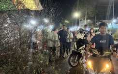 Hoa Tết xuống phố, người bán mong ngóng người mua