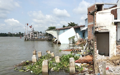 Đê ngăn triều sạt lở, uy hiếp gần trăm hộ dân ở Trà Vinh ngay sát Tết