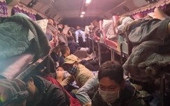 Tạm giữ xe khách chở 81 người trên quốc lộ 10