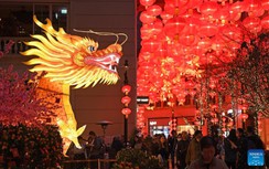 Các nước châu Á trang hoàng rực rỡ đón tết Nguyên đán 2024
