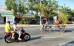Dịch vụ chở thuê hoa kiểng ở Bạc Liêu ăn nên làm ra dịp Tết
