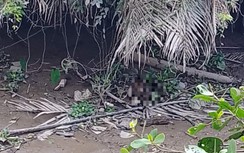 Vĩnh Long: Liên tiếp phát hiện nhiều bộ phận cơ thể nghi của một phụ nữ