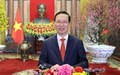 Chủ tịch nước Võ Văn Thưởng chúc tết Nguyên đán Giáp Thìn 2024
