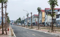 Đất đấu giá lại "bon" hàng