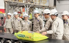 NPK Phú Mỹ 20-10-10 + TE: Hứa hẹn mang về những vụ mía ngọt