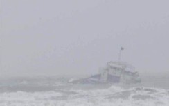 Truy tìm tàu hàng đâm chìm tàu cá Bình Định trên vùng biển Bình Thuận