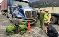 Tạm giữ hình sự tài xế xe container tông vào xe CSGT trên cao tốc