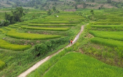 Đến Điện Biên dự giải Marathon vì ATGT 2024, ăn ở tại đâu?