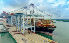 "Thả nổi" phụ phí, hãng tàu mặc sức tăng?