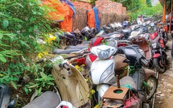 Bỏ tạm giữ xe vi phạm giao thông được không?