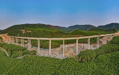 Choáng ngợp 4 cầu cạn xuyên rừng lớn nhất cao tốc Diễn Châu - Bãi Vọt về đích dịp 30/4