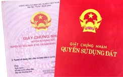 Khởi tố vụ án liên quan đến chuyển nhượng đất tại Công ty Phát triển nhà Cà Mau