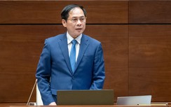 Bộ trưởng Ngoại giao nêu 4 giải pháp chống tiêu cực sau vụ "chuyến bay giải cứu"