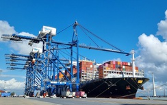 Hãng tàu ngoại nào tăng phụ phí cao nhất?