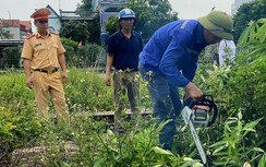 Không vì sự "tiện" của một số người, Hải Phòng quyết dẹp lối đi tự mở