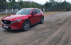 Khởi công dự án cải tạo QL28B qua Bình Thuận, Lâm Đồng vào cuối tháng 3