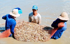 Đầu tư hạ tầng giao thông, thủy lợi để phát triển nông nghiệp thuận thiên