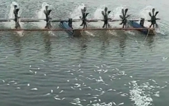 Gãy cánh quạt điện gió ở Bạc Liêu: Một hộ dân thống kê thiệt hại hơn 160 tỷ