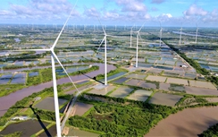 Điện tái tạo mỏi mòn chờ cơ chế