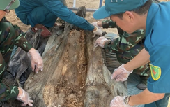 Thi công cao tốc Bến Lức - Long Thành phát hiện hài cốt liệt sĩ