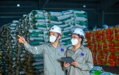 PVFCCo: 21 năm vững bước, không ngừng bổ sung động lực mới cho phát triển bền vững