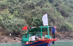 Khẩn trương xử lý phao xốp bủa vây vịnh Hạ Long