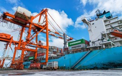 Cảng Quy Nhơn đặt nhiều mục tiêu lớn trong năm 2024