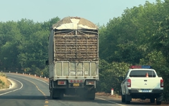 Gia Lai: Quyết không dung túng, bao che xe quá tải