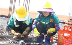 Những "bông hồng đen" giữa đại công trường sân bay Long Thành