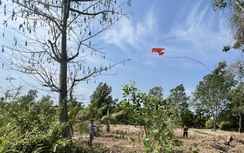 Thả diều, sử dụng thiết bị chiếu sáng ảnh hưởng an toàn bay ở Cần Thơ