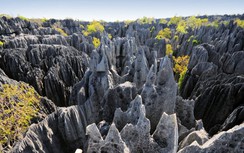 Khu rừng chứa hàng trăm tảng đá sắc như dao