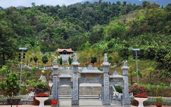 Có một cánh rừng mang tên Đại tướng Võ Nguyên Giáp tại Sơn La