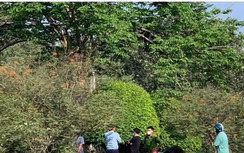 Phát hiện thi thể người đàn ông cháy đen ở Long An